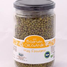 Maş Fasulyesi