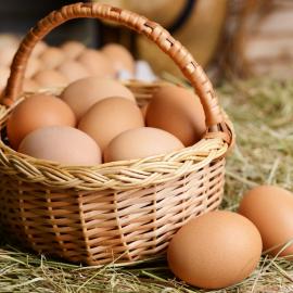 Özgür Tavuk Yumurtası 24’lü