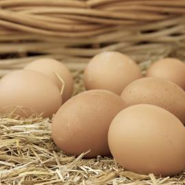 Özgür Tavuk Yumurtası 12’li