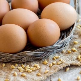 Özgür Tavuk Yumurtası 6’lı