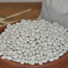 Organik Boncuk Kuru Fasulye