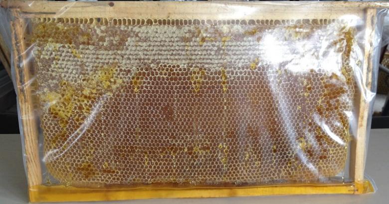 Erzincan Yayla Petek Balı