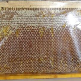 Erzincan Yayla Petek Balı