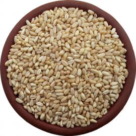 Aşurelik Organik Buğday