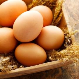 Organik Köy Yumurtası