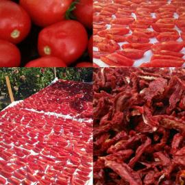 Verty kokteyl kurusu