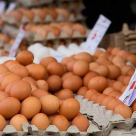 Yayladan Köy Yumurtası (15 Adet)