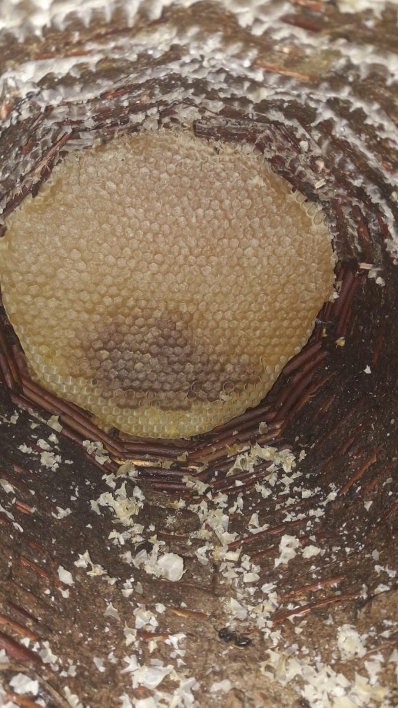 Bitlis Karakovan Balı (Doğal)