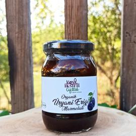 Üryani Marmelatı (Elma Suyu ile)