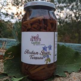 Hodan Sapı Turşusu (Ispıt)