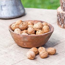 Kabuklu Ceviz (Kastamonu)