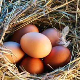 köy yumurtası 10'lu paket