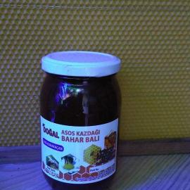 Bahar Balı - Yuvadan