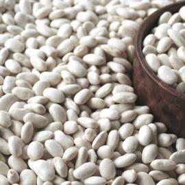 Meşhur Göl Fasulyesi