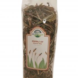 İbrahim Efendi SİNİRLİ OT 55 Gr. 