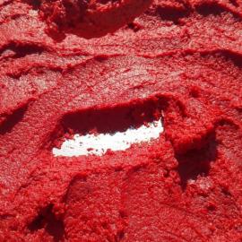 Domates Salçası 1 KG