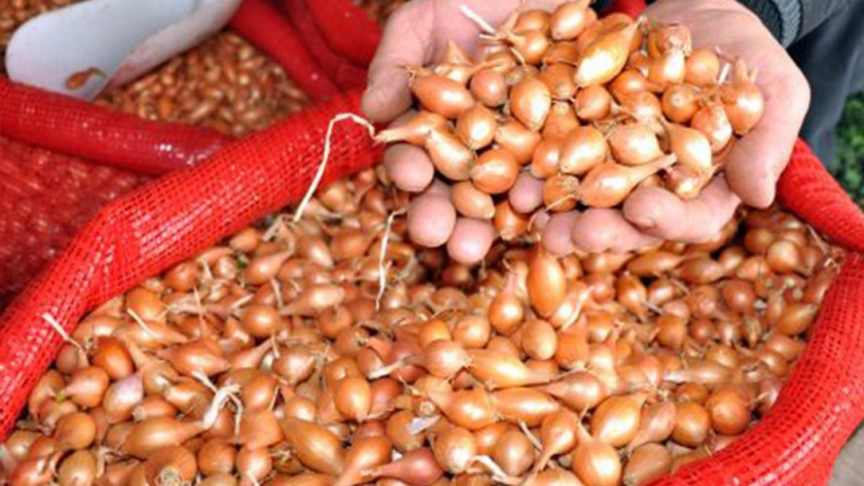 Arpacık Soğan (Tohumluk - Göver)