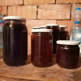 Kozalak Şurubu (Şekersiz - Doğal)