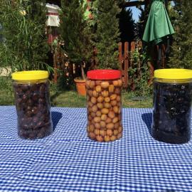 1KG KURU SELE ZEYTİN