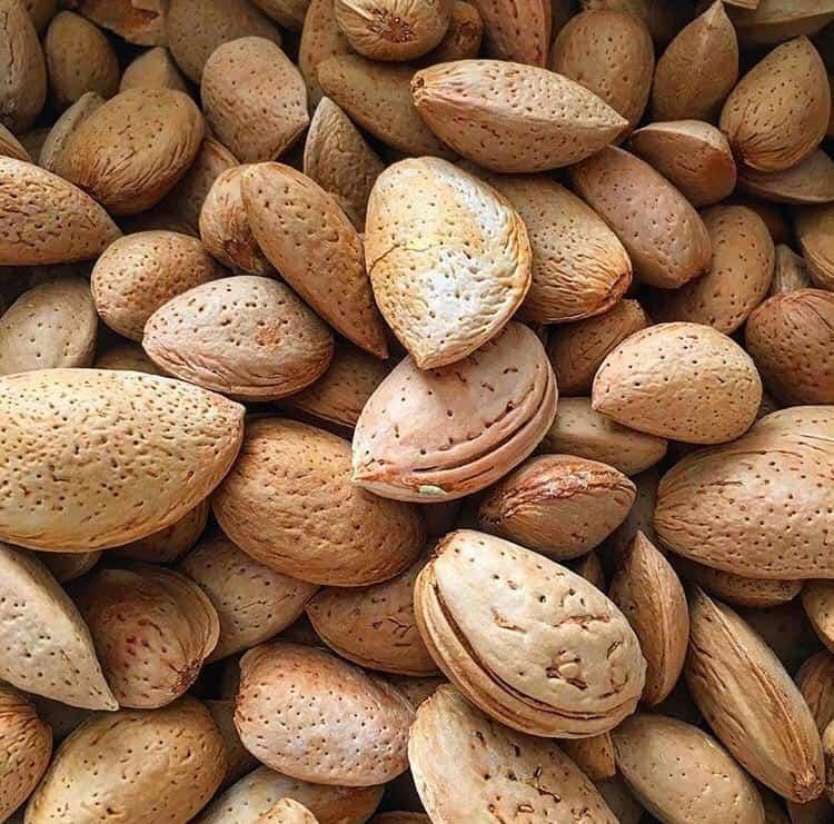 Taş Bademi (Kabuklu - Sertavul Yaylası)