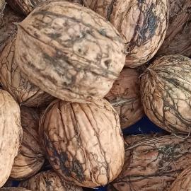 Yerli Chandler Ceviz