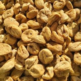 DÖKME DAĞ İNCİRİ