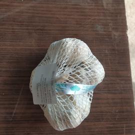 SARIMSAK KURU 1.SINIF