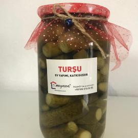 MEYVEEVİ KORNİŞON TURŞU 1 KG