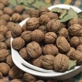 KABUKLU YAYLA CEVİZİ