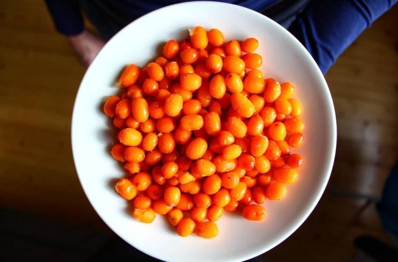 Yabani İğde (Donuk Tane)