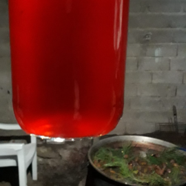 ÇAM KOZALAGI ŞURUBU