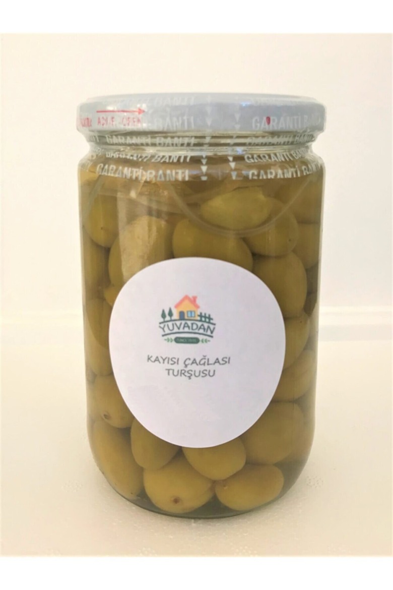 Kayısı Çağlası Turşusu Kayısı Çağla Turşu 600Cc-620Gr