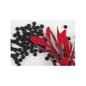 Tesbih Çiçeği Tohumu (20 Adet)