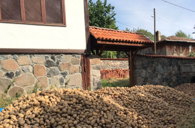 Organik Sarı Patates (Yemeklik)