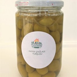 Kayısı Çağlası Turşusu Kayısı Çağla Turşu 600Cc-620Gr