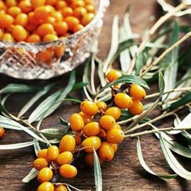 Yabani İğde Meyvesi (250 Gr)