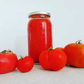 Kabuksuz Domates Sosu
