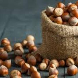 Kabuklu Fındık (Ordu)