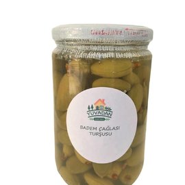 Badem Çağlası Turşusu Badem Çağla Turşu 660Cc-620Gr