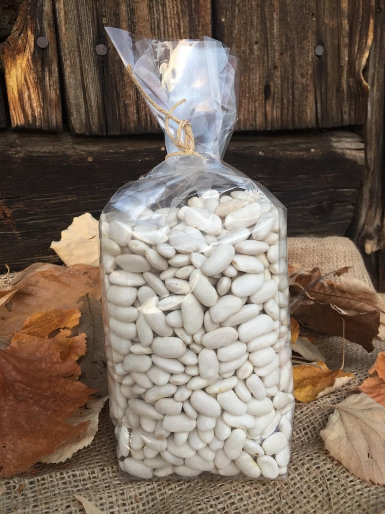 Organik Dermason Fasulye (Tohumluk)