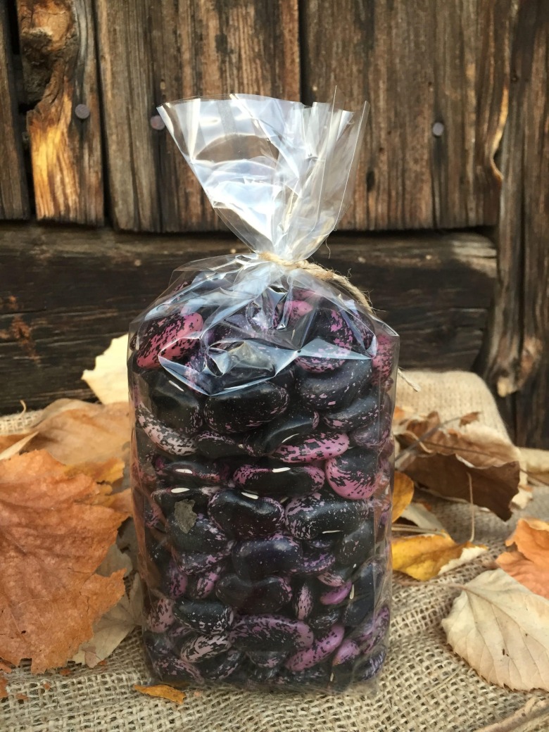 Organik Kara Göynük Fasulyesi (Tohumluk)