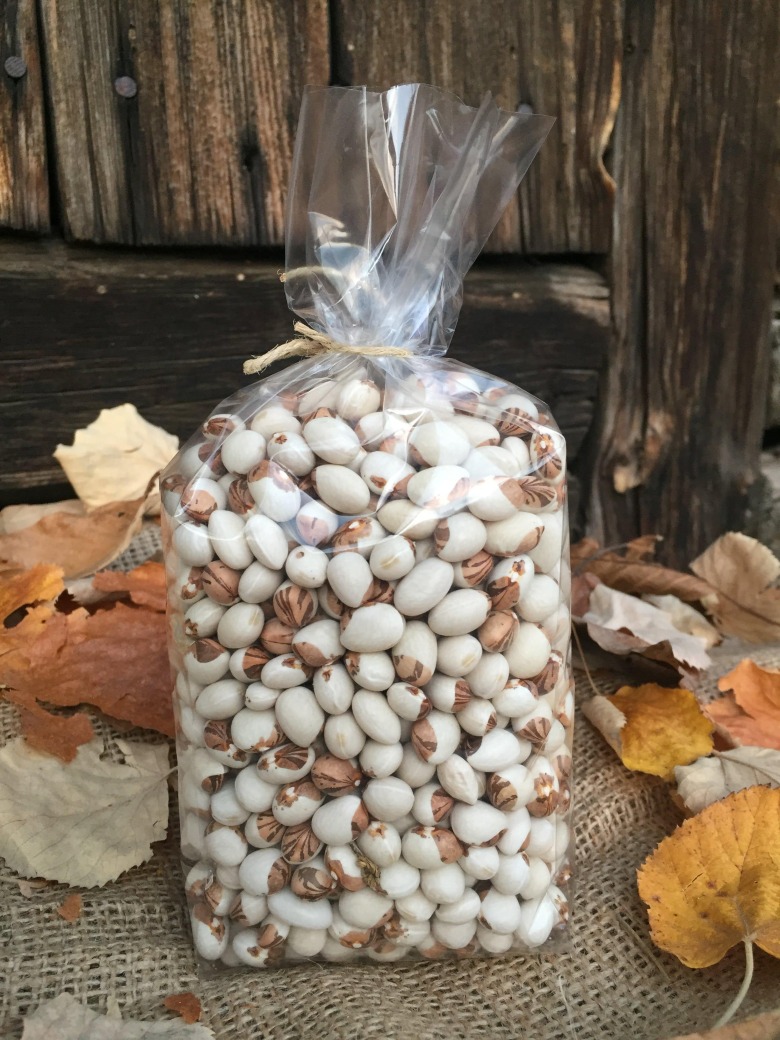 Organik Empirme Fasulye (Tohumluk)