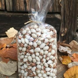 Organik Empirme Fasulye (Tohumluk)