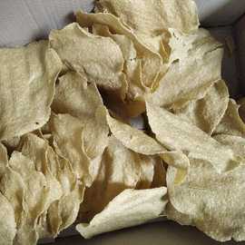 Beyşehir Tarhanasi Cipslik