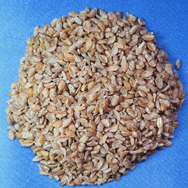 Kastamonu Siyez Bulguru