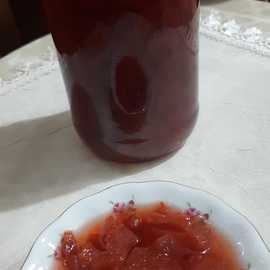 Ayva Reçeli (Alanya Usulü)