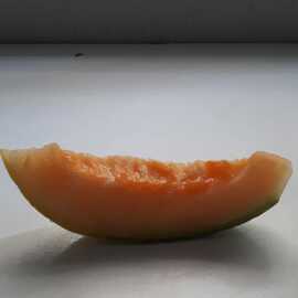 (Ata Tohumu) Düvlek Muz Kavunu Tohumu 1 Paket--- (10 Adet)