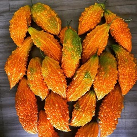 Kudret Narı Macunu + Tohum Hediyeli