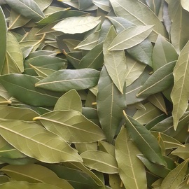 Defne Yaprağı 15 Gr. - Teofarm Tarımsal Ürünleri