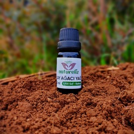 Çay Ağacı Yağı 10 Ml
